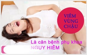 Chi Diem Cac Tac Hai Viem Vung Chau