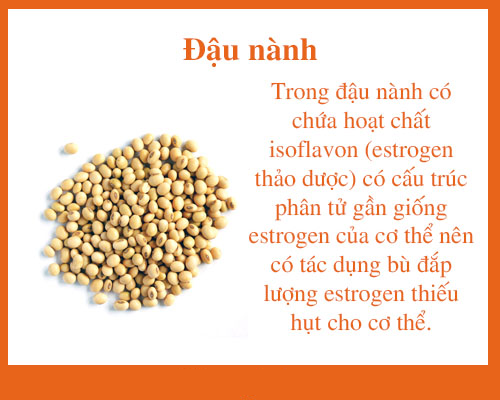 Dau Nanh Tang Noi Tiet To Estrogen