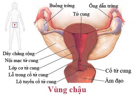 Bieu Hien Nu Bi U Dich Vung Chau