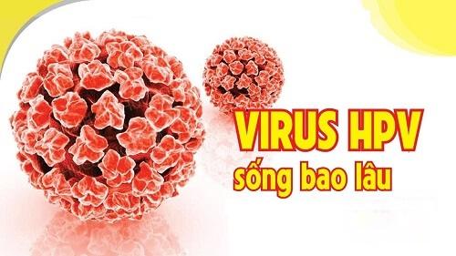 Virus Hpv Sinh Duc Song Bao Lau